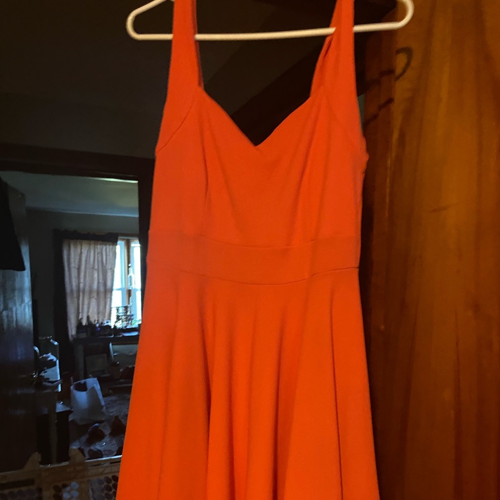 Cute dress. Never worn.